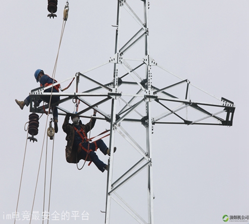 生态经济双丰收：从古老的稻田养鱼到现代的稻188金宝搏官网渔综合种养